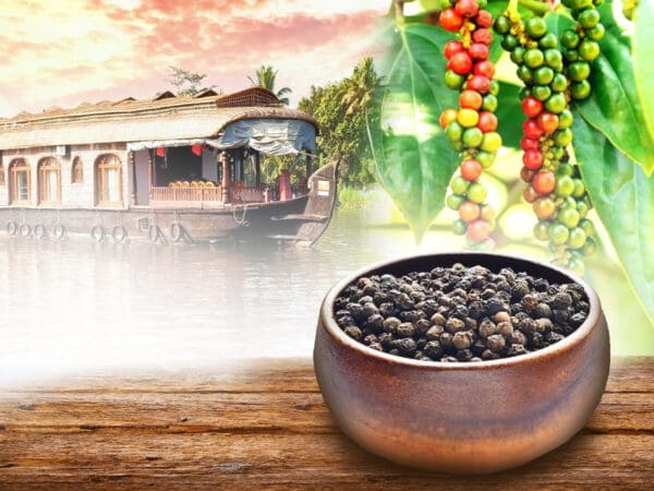 Kerala Pepper Corn By A River Boat On A River Image