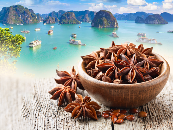 Vietnam Star Anise On A Beach Background Image