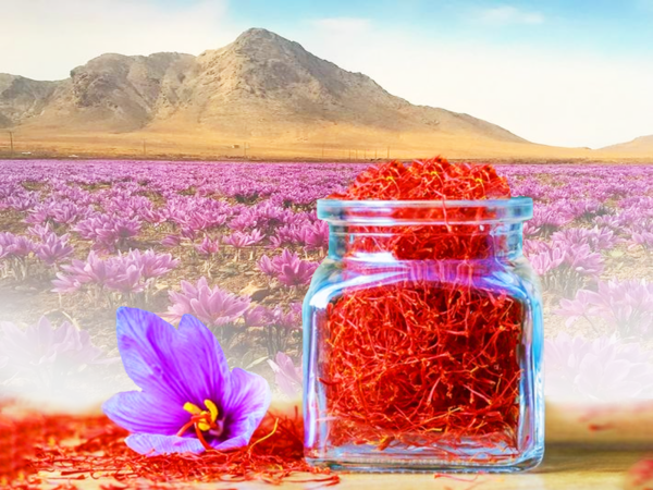 A Glass Jar Filled With Saffron To The Brim Image