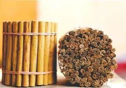 Cinnamon sticks tied together in bundles.